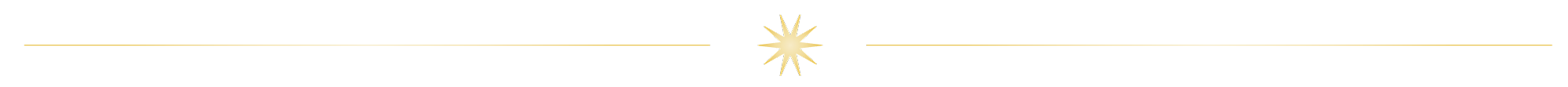 separator with a star in the center